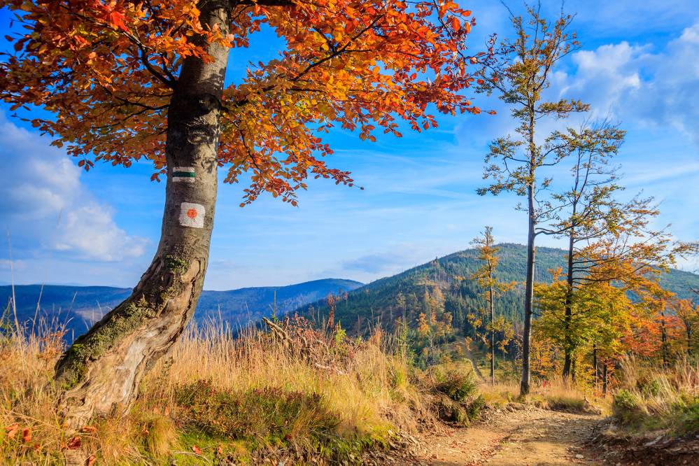 Park Krajobrazowy Beskidu Śląskiego