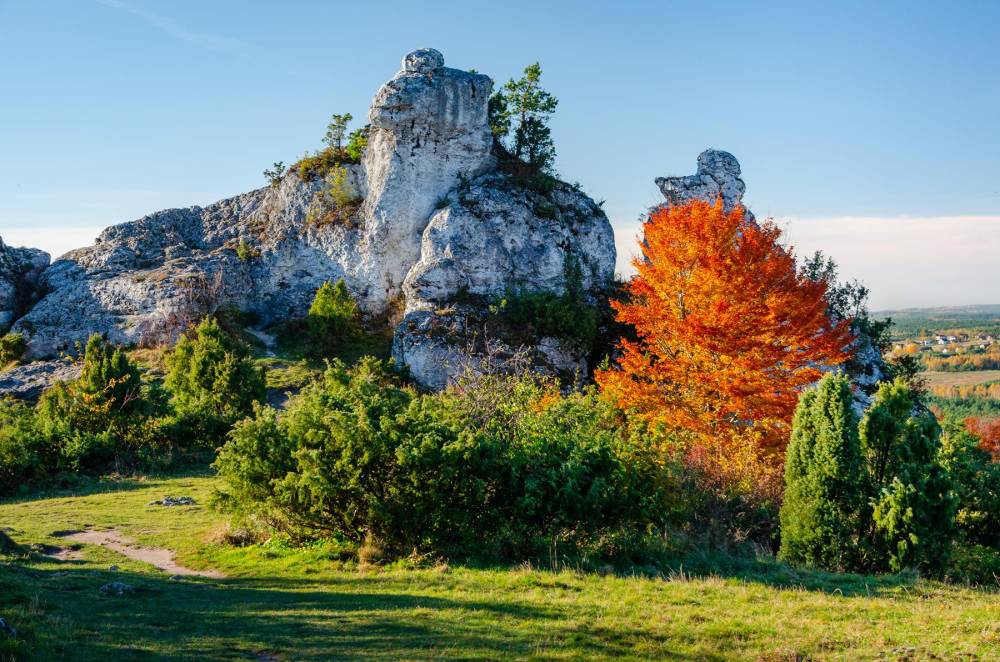 38. Skała Skrzat na G&oacute;rze Zbor&oacute;w