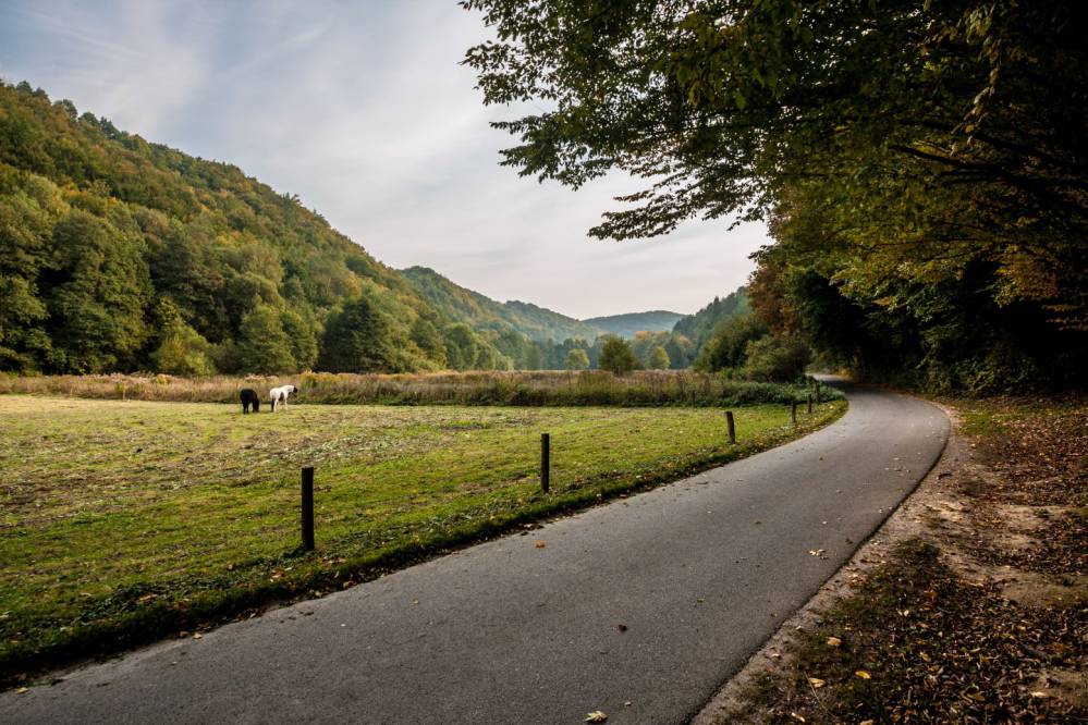 Dolinki Krakowskie fot. Jakub Krawczyk