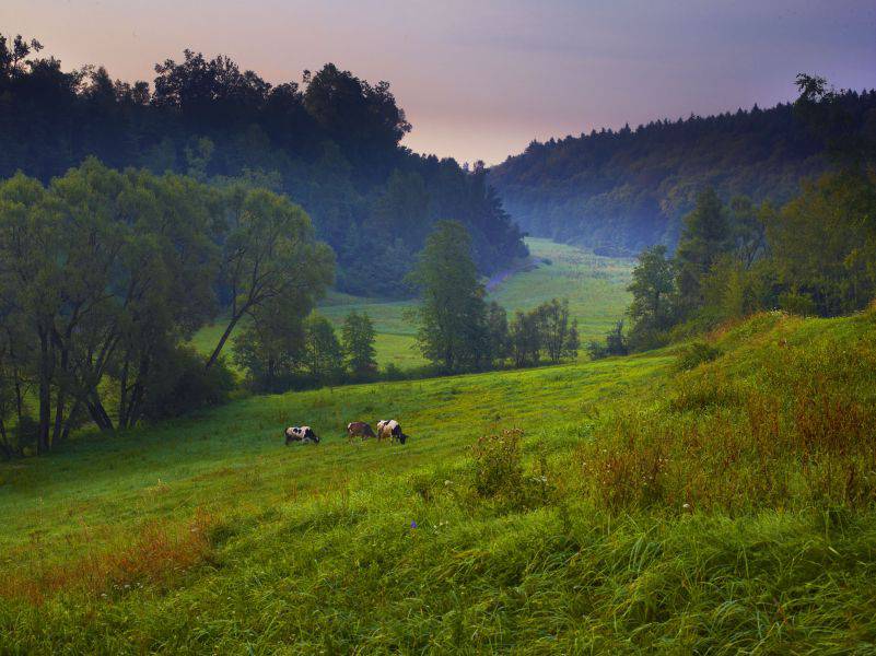 Dolina Dłubni fot. Tomasz Renk